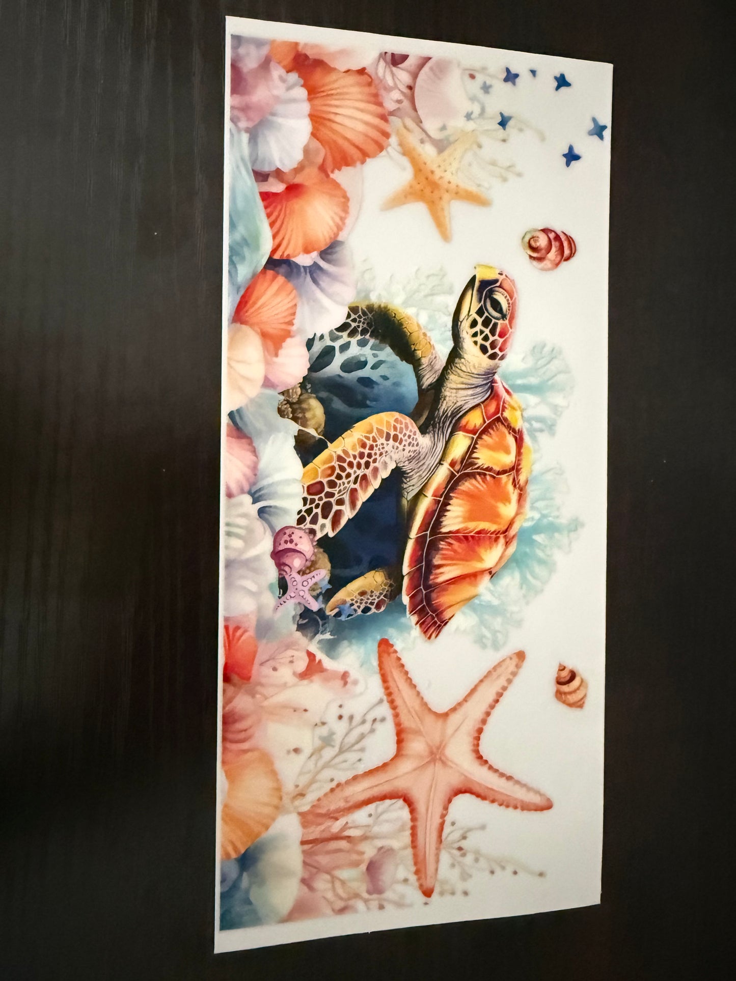 Sea Turtle & Starfish