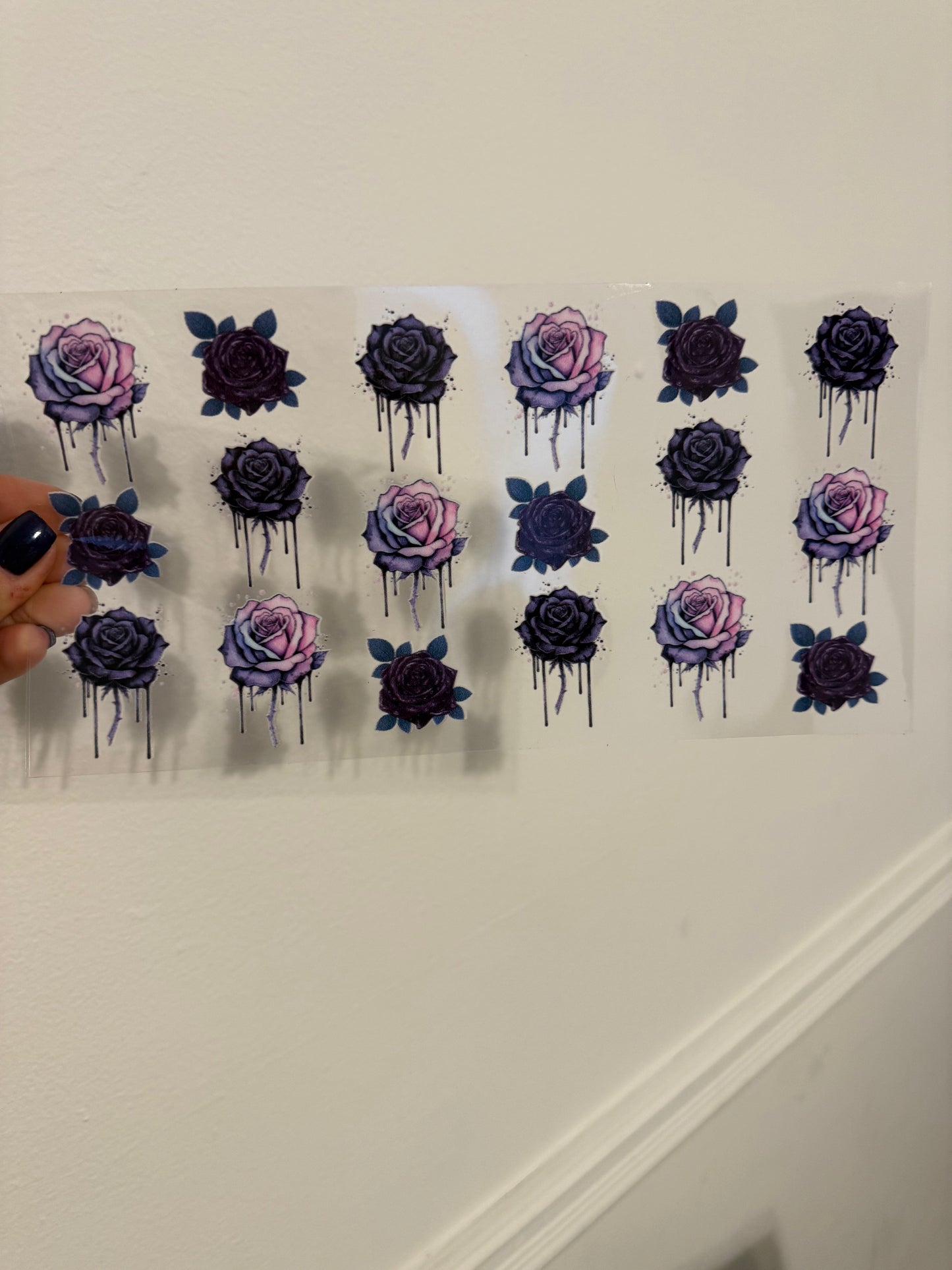 pink and black roses