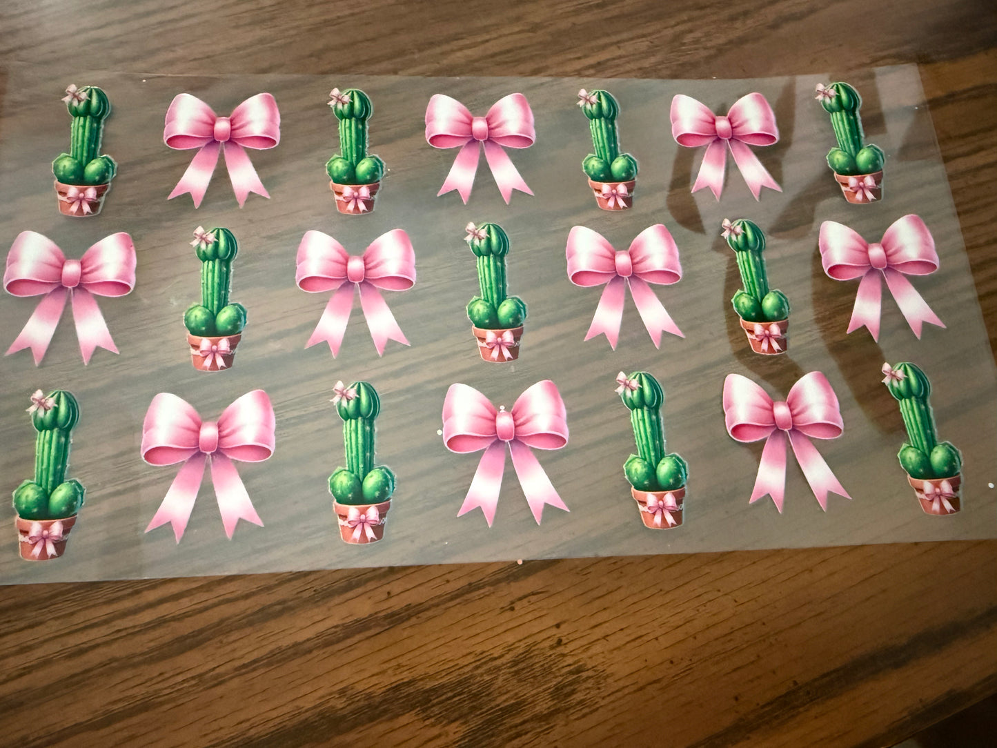 Cactus Richard & Bows