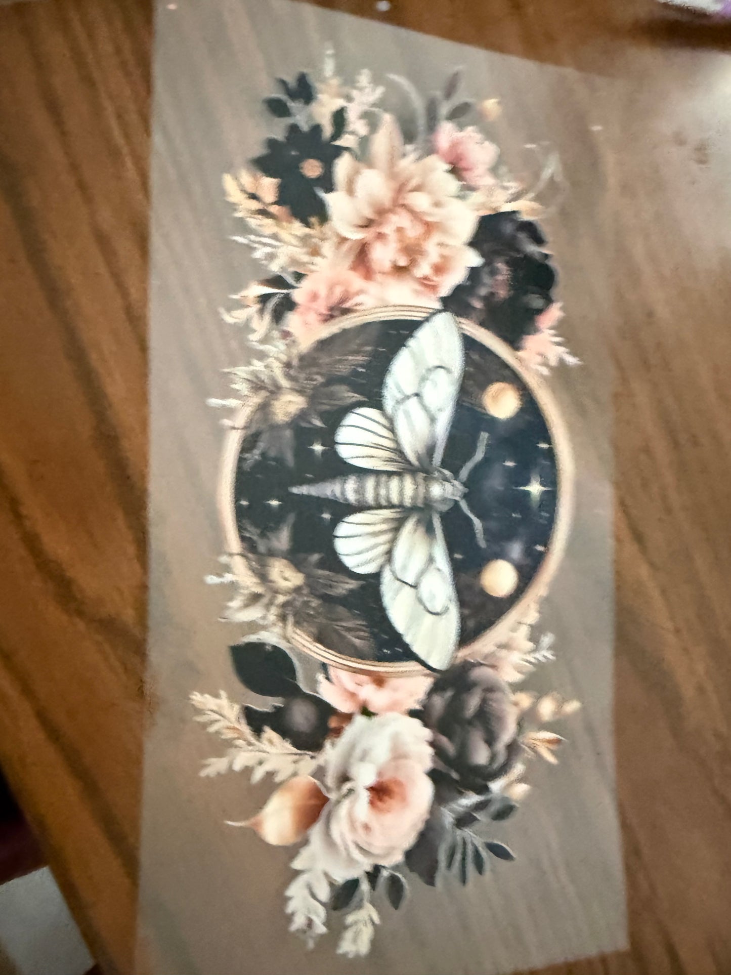 Moth & flowers