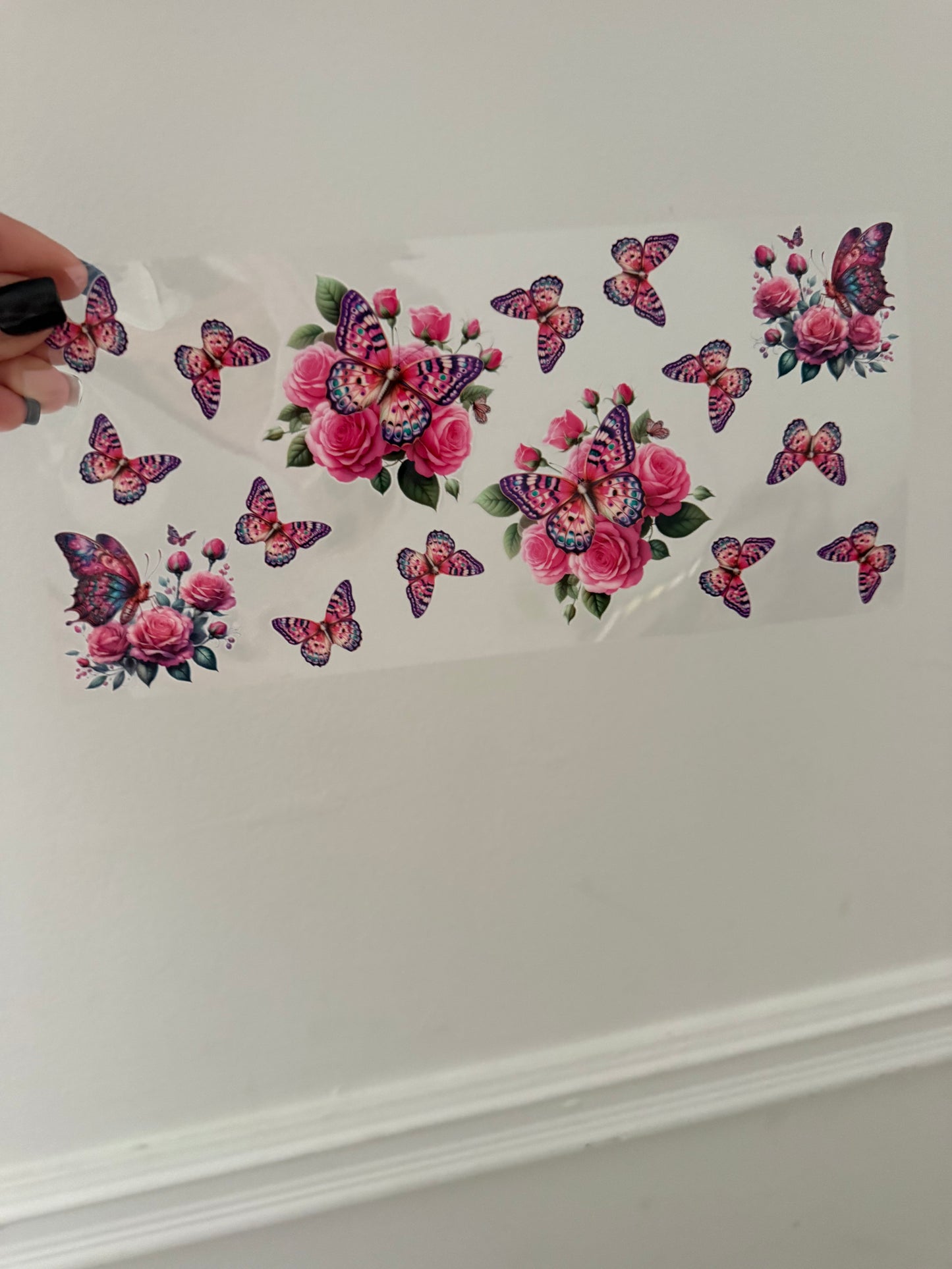 Butterflies & Flowers