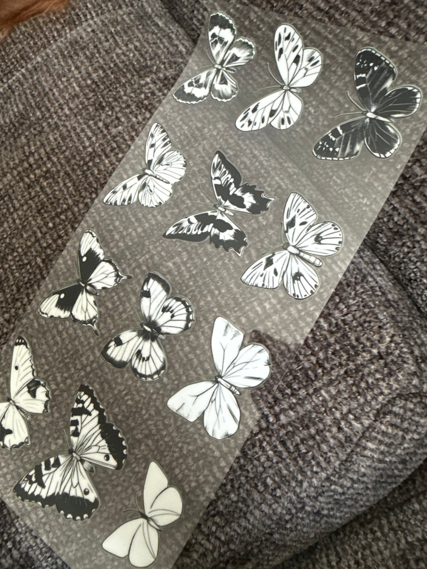 Black & white butterflies