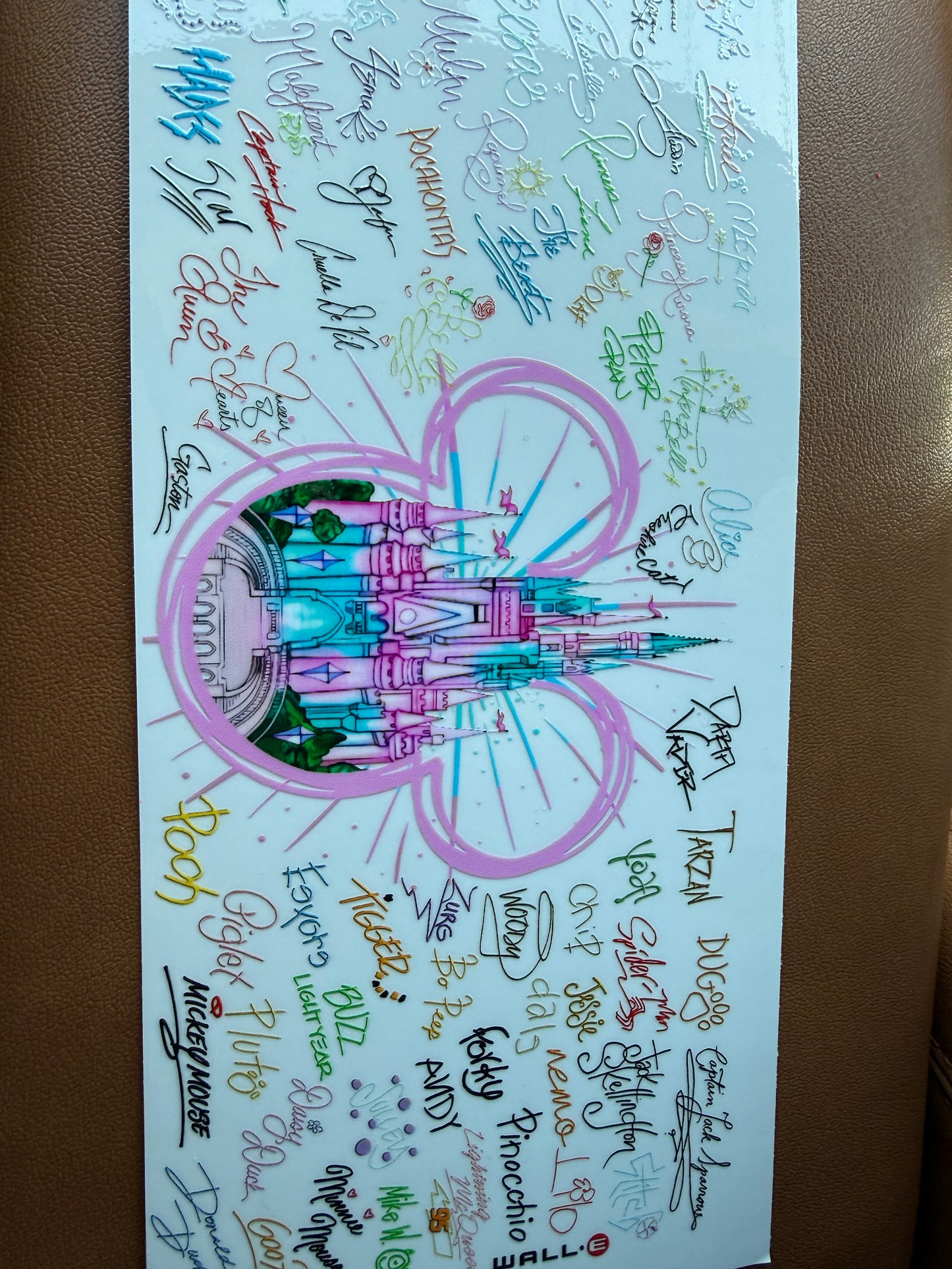 Disney signatures