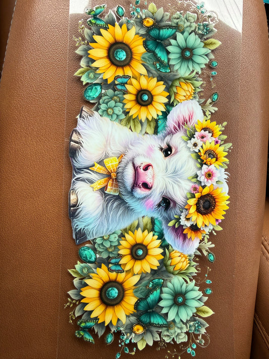 White highland cow & sunflowers 🌻