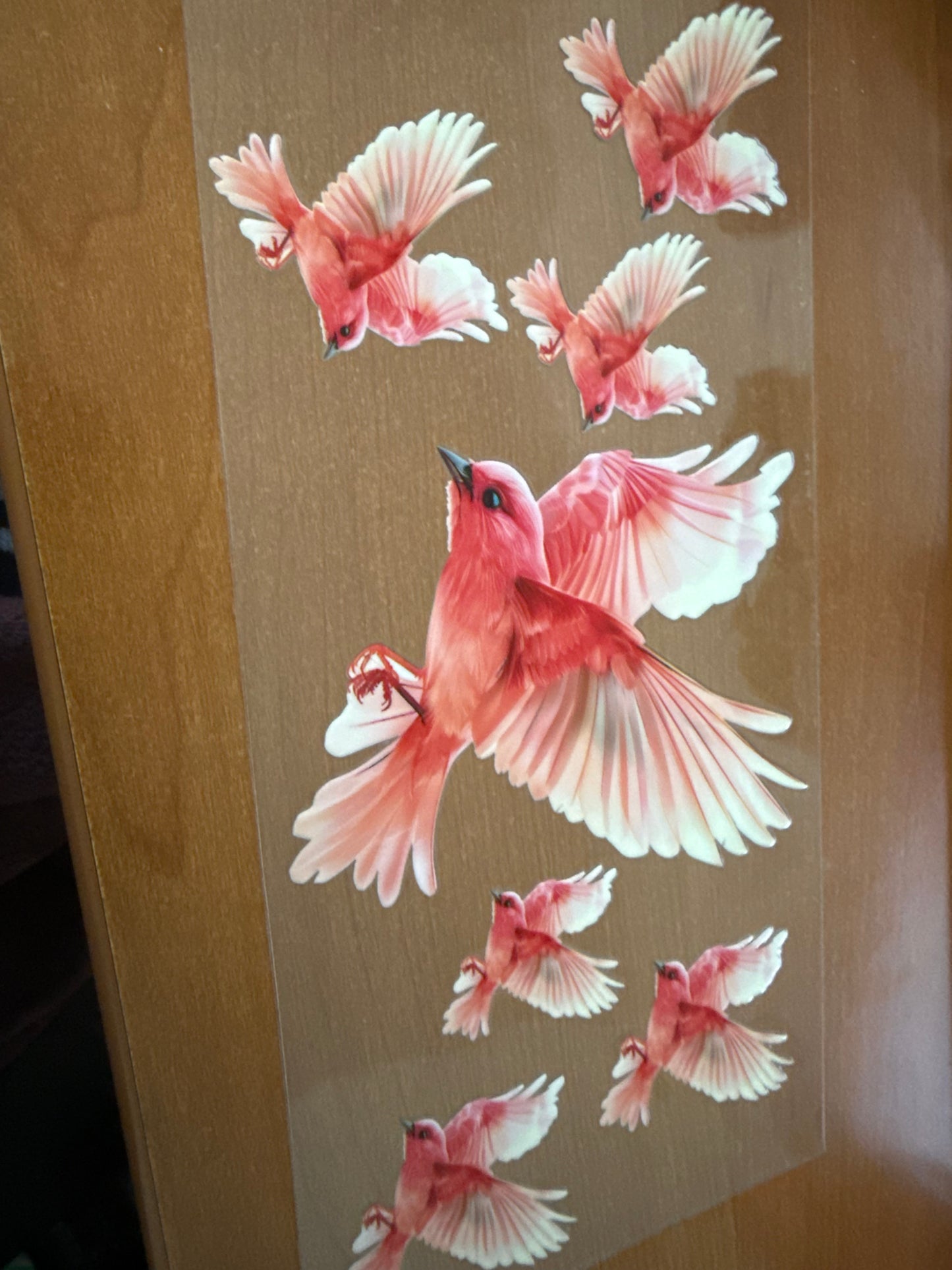 Pink Cardinals