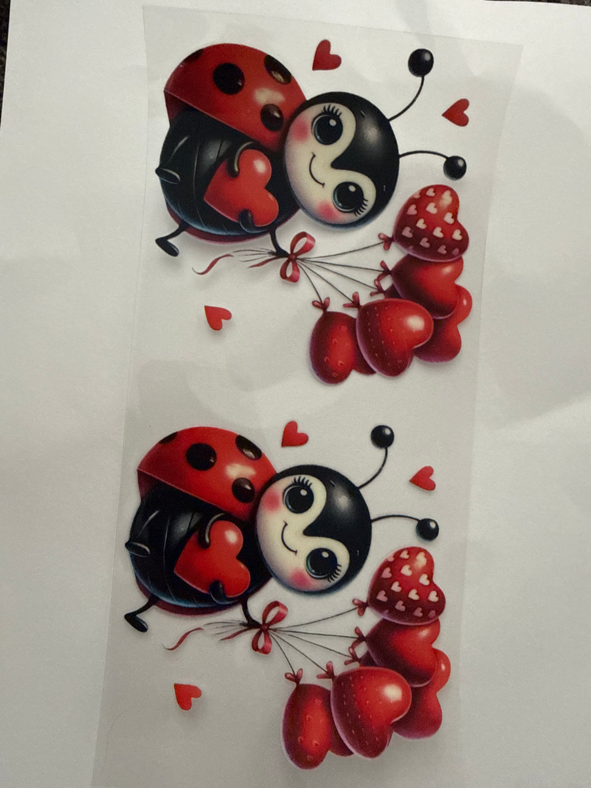 2 lady bugs