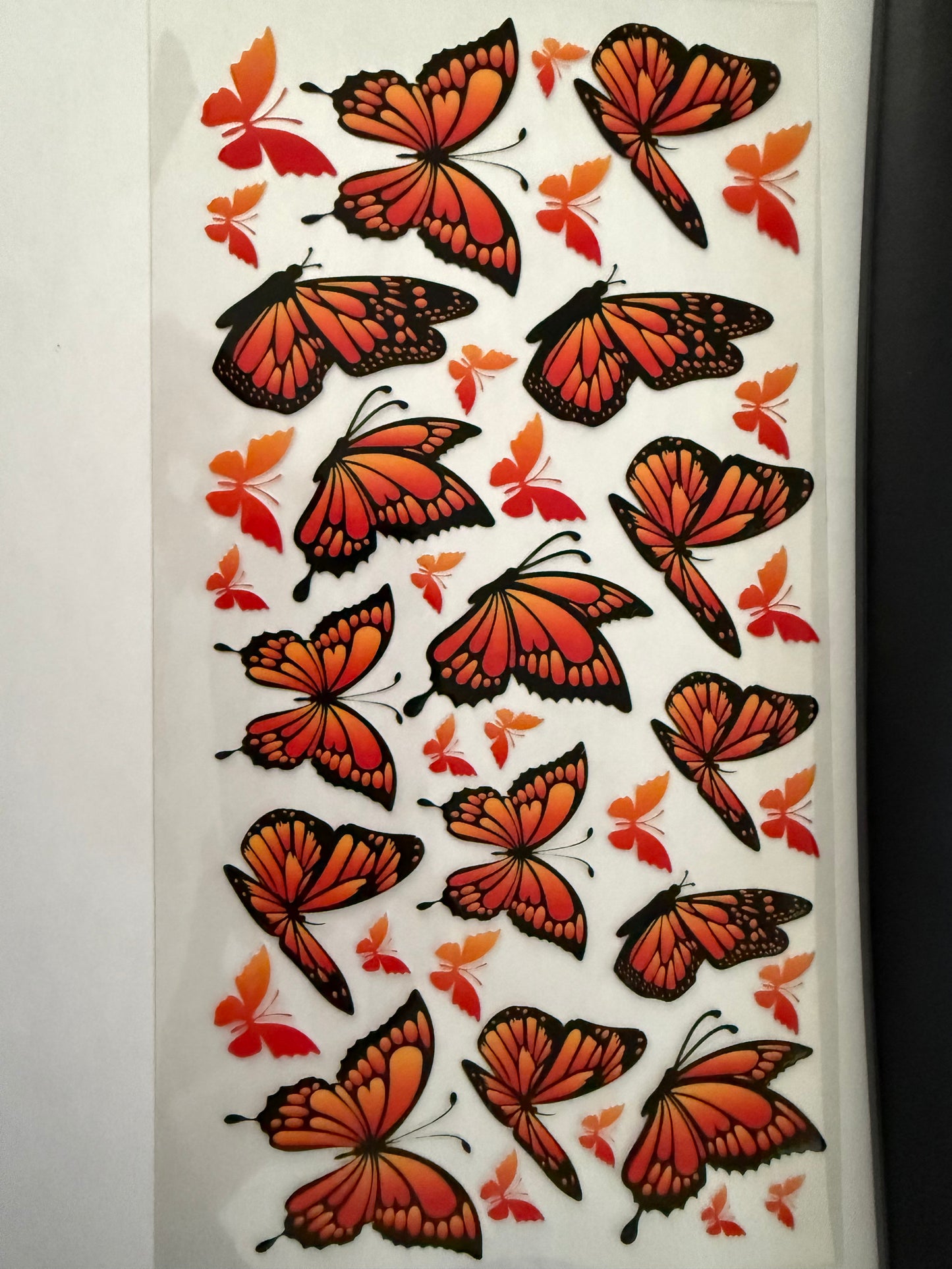 Butterfly 2