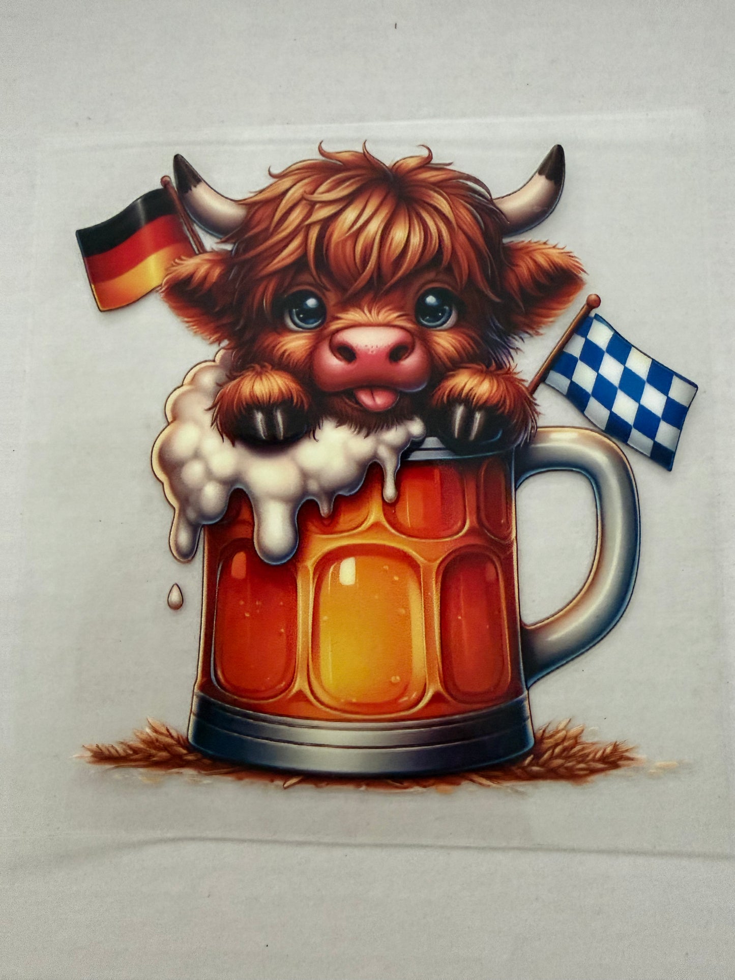 Highland cow & beer