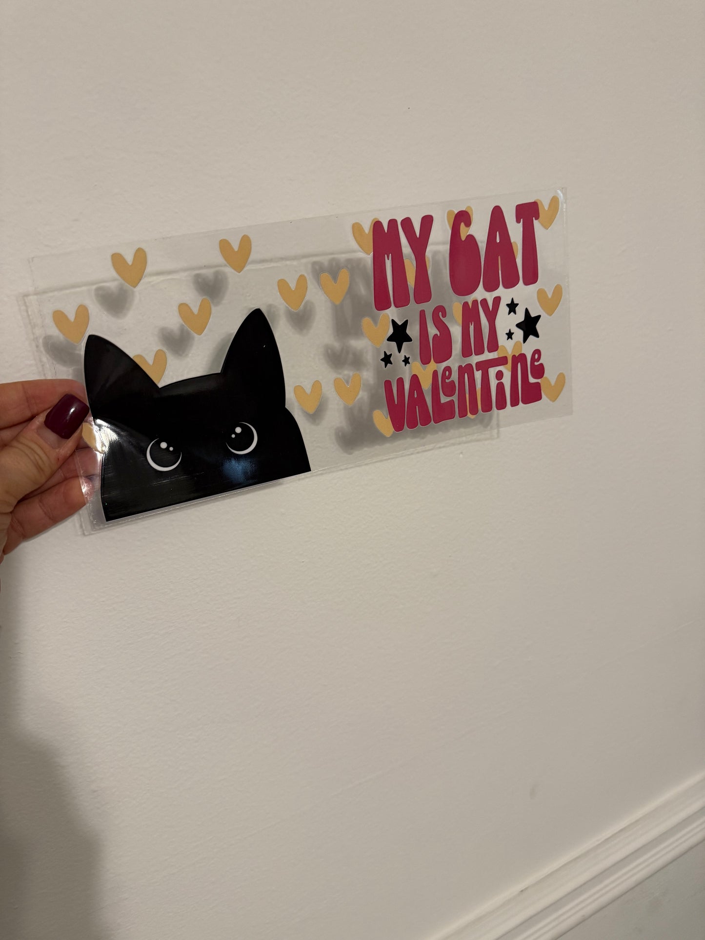 My cat is my valentine