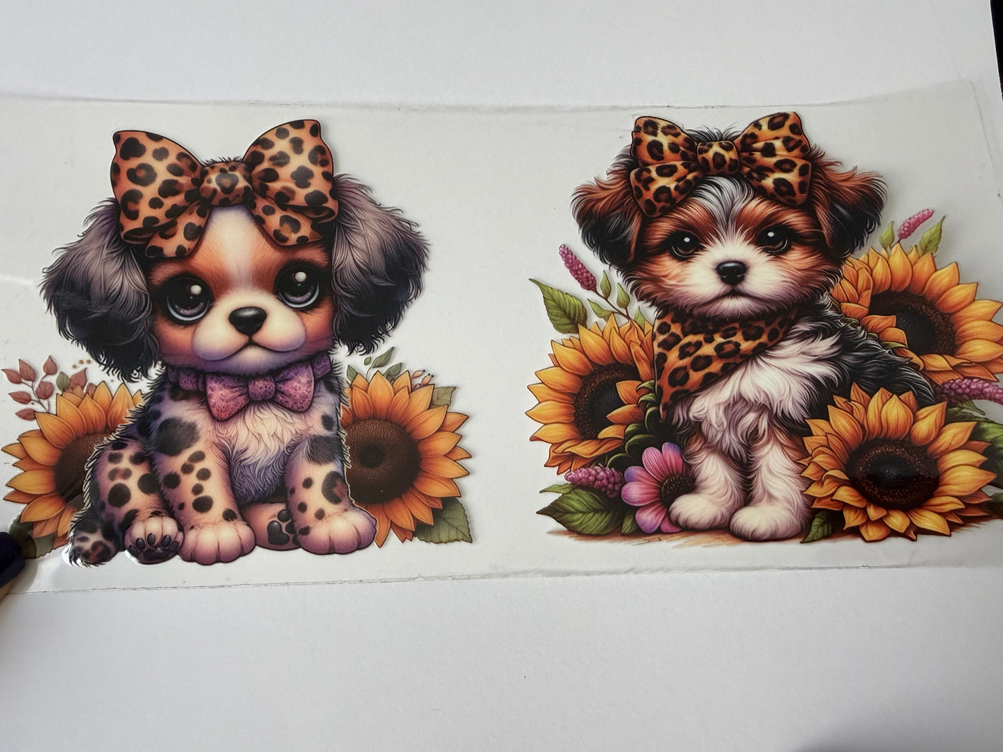 Puppy 1