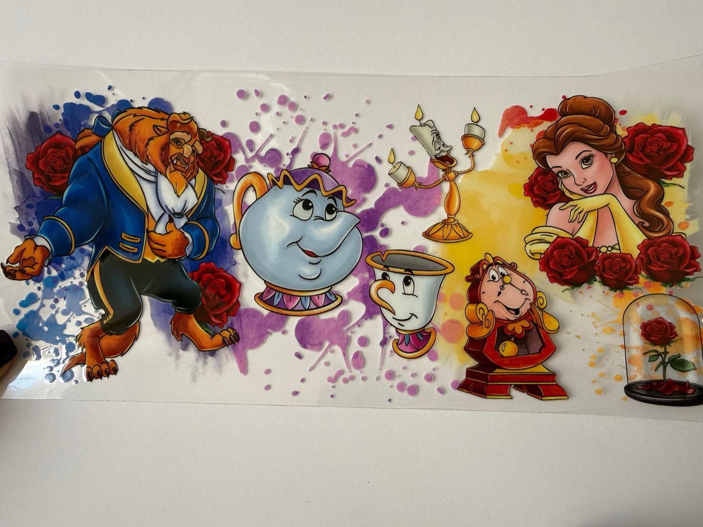 Beauty & the beast
