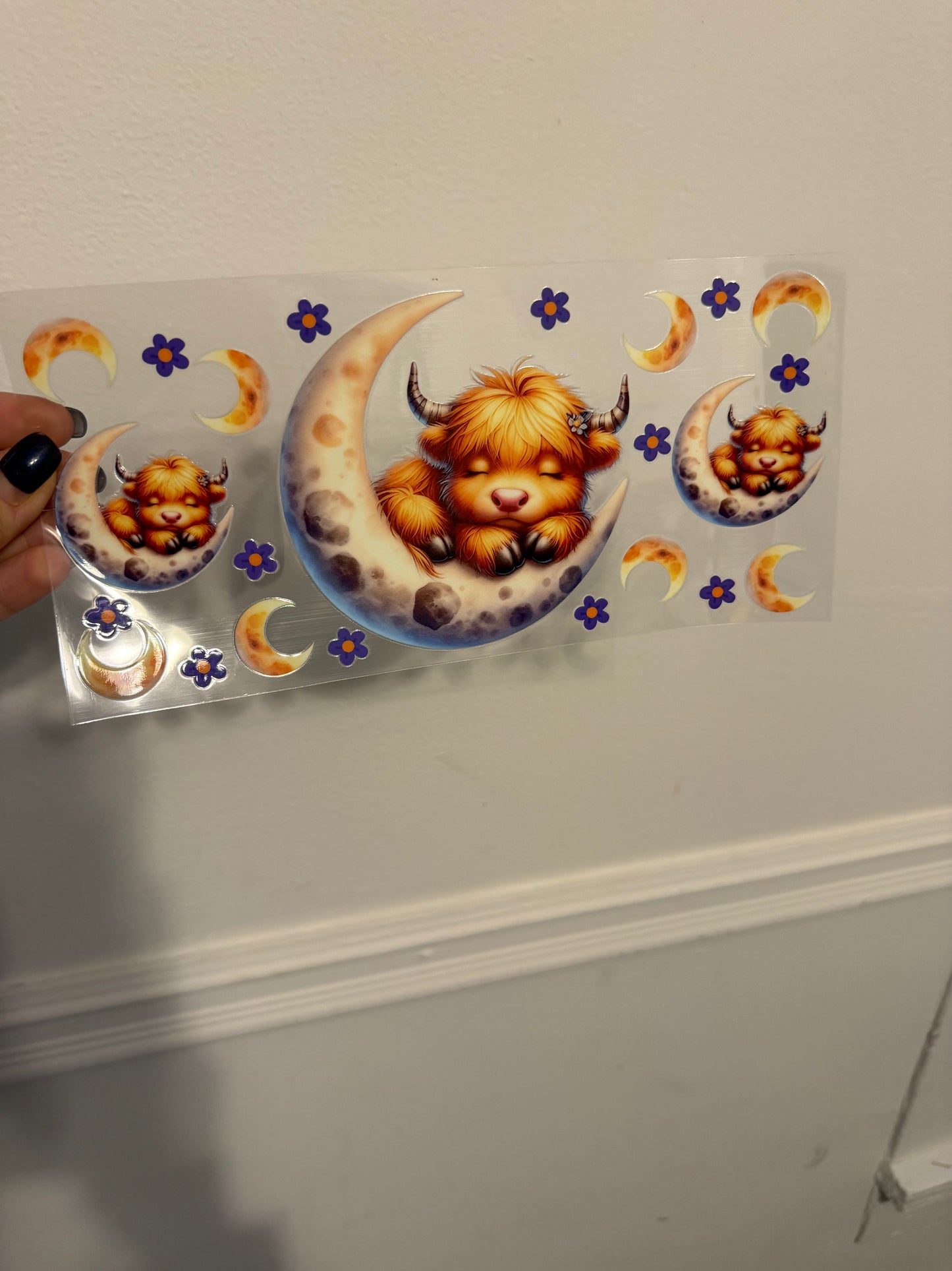 Moons & stars highland cow