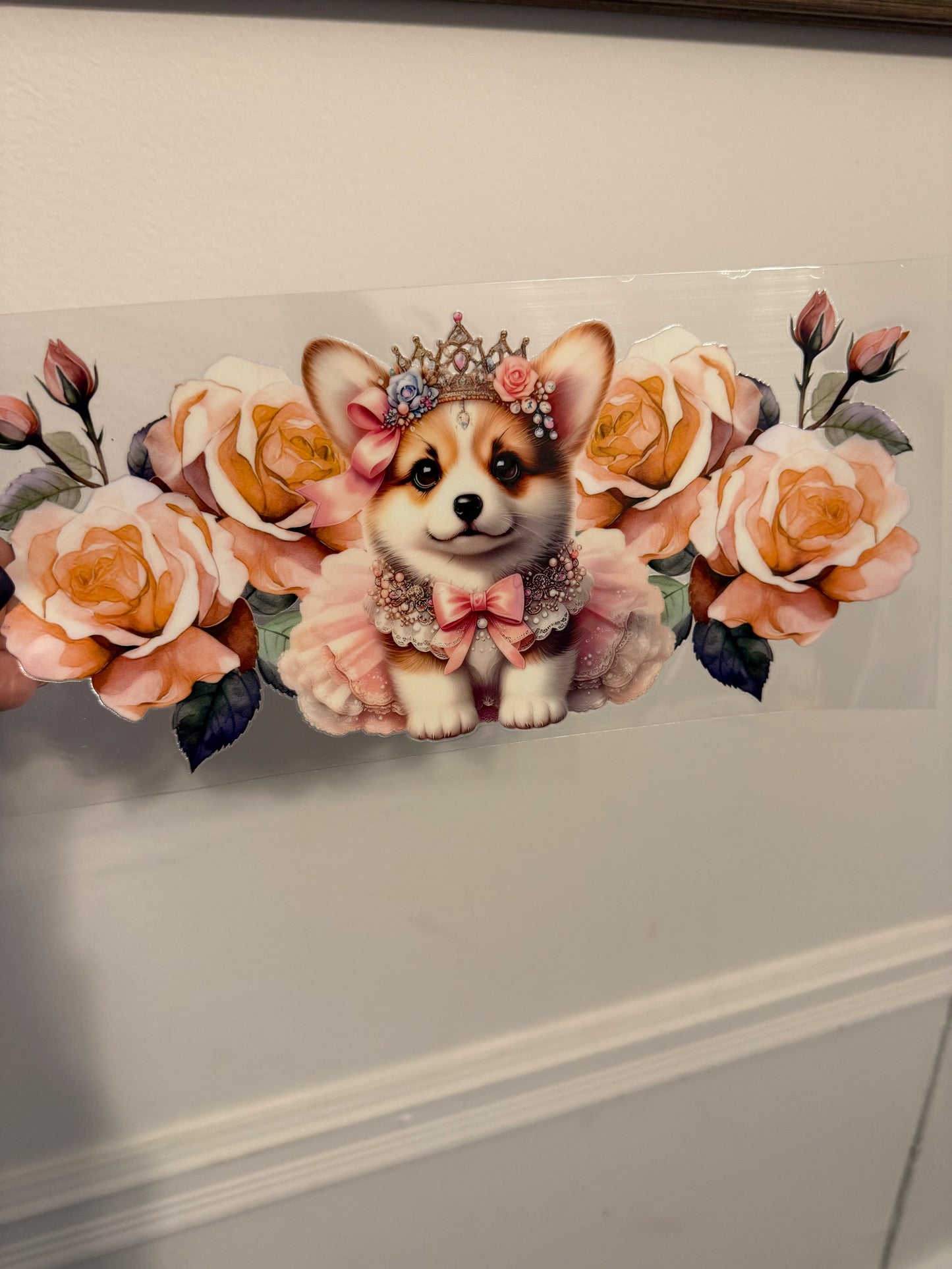 Corgi 2