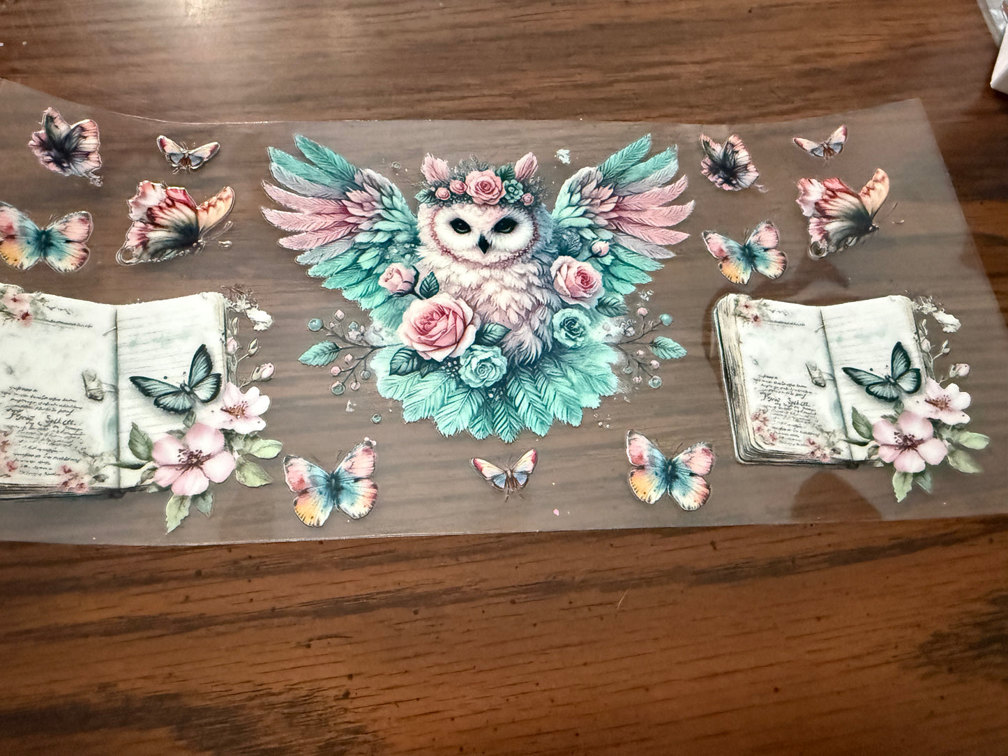 Owl & Butterflies