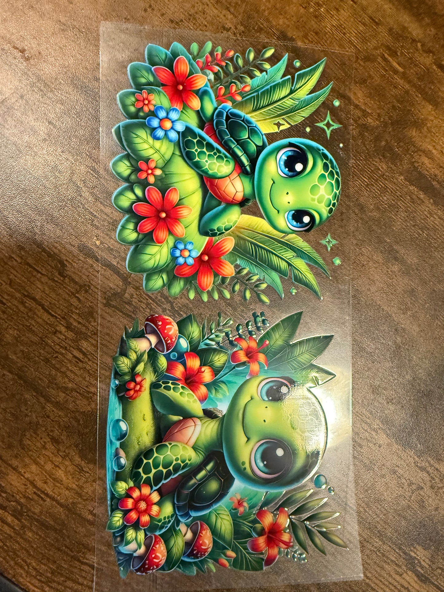 Sea Turtles