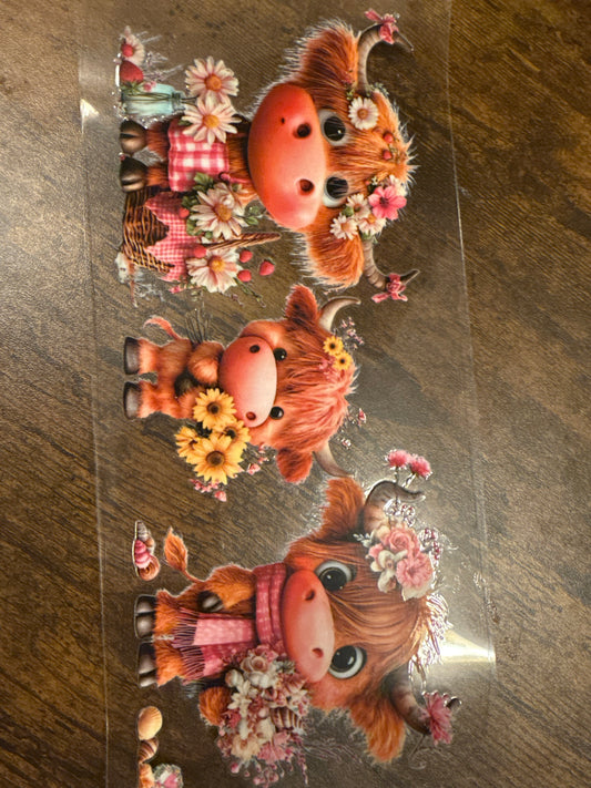 3 Cute Highland Cows