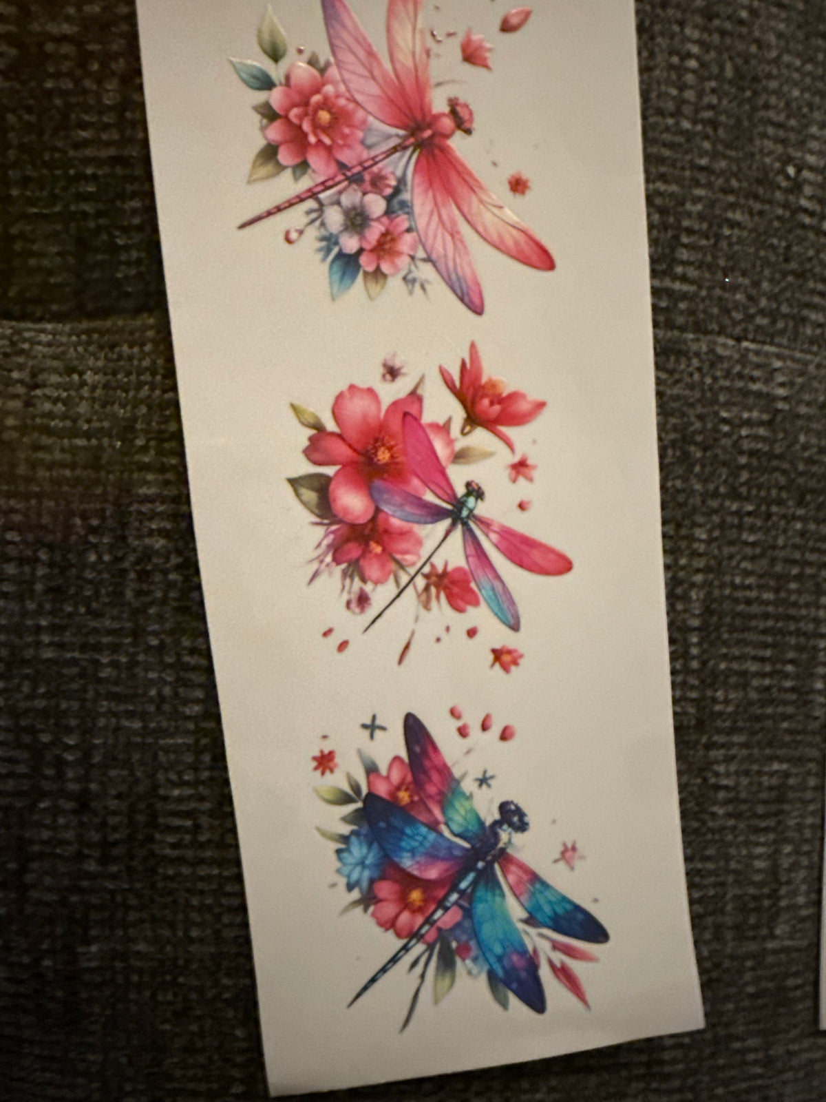 Dragonflies #4