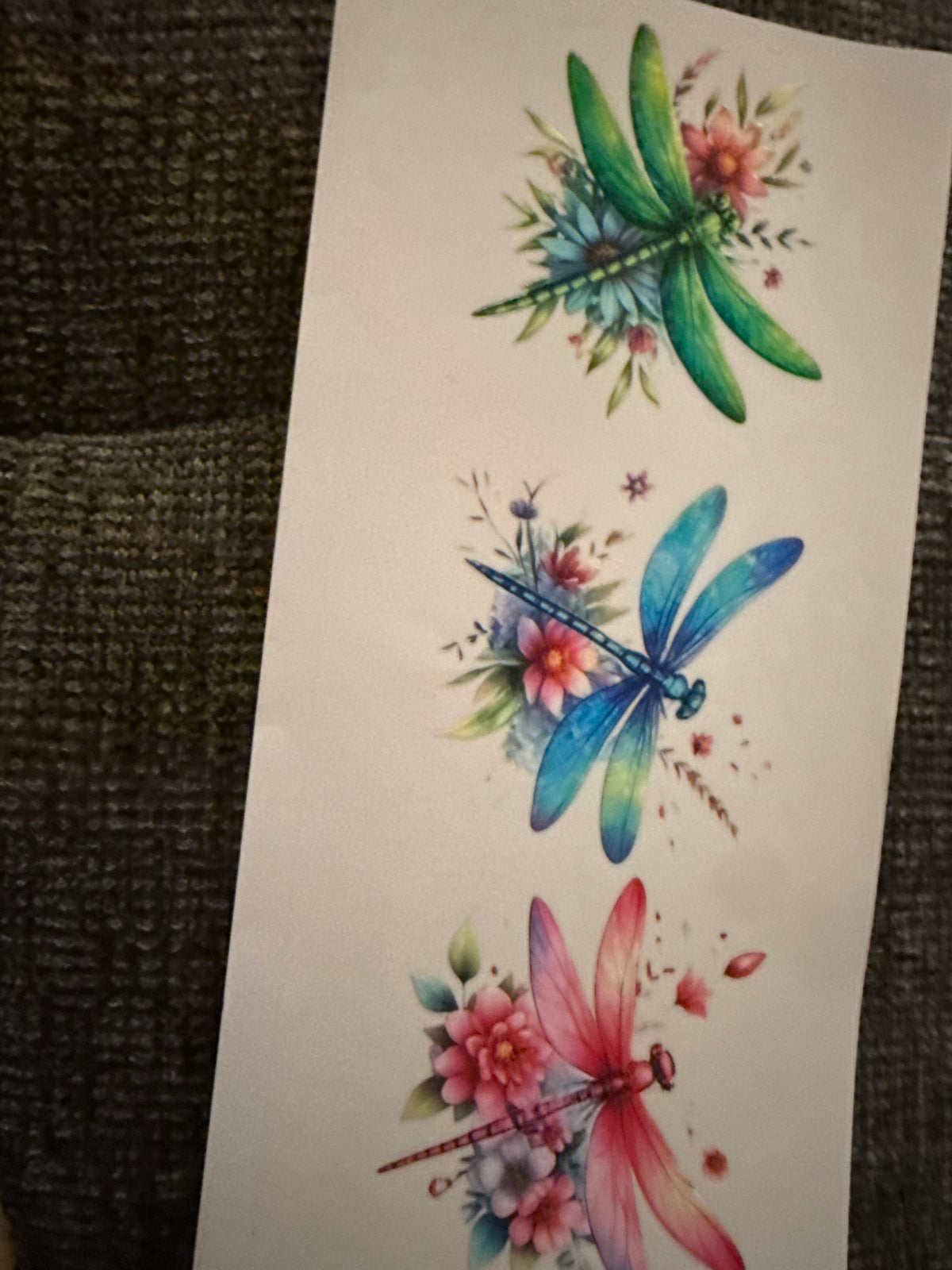 Dragonfly #3
