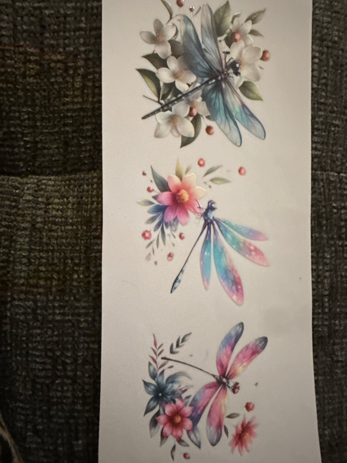 Dragonflies #2