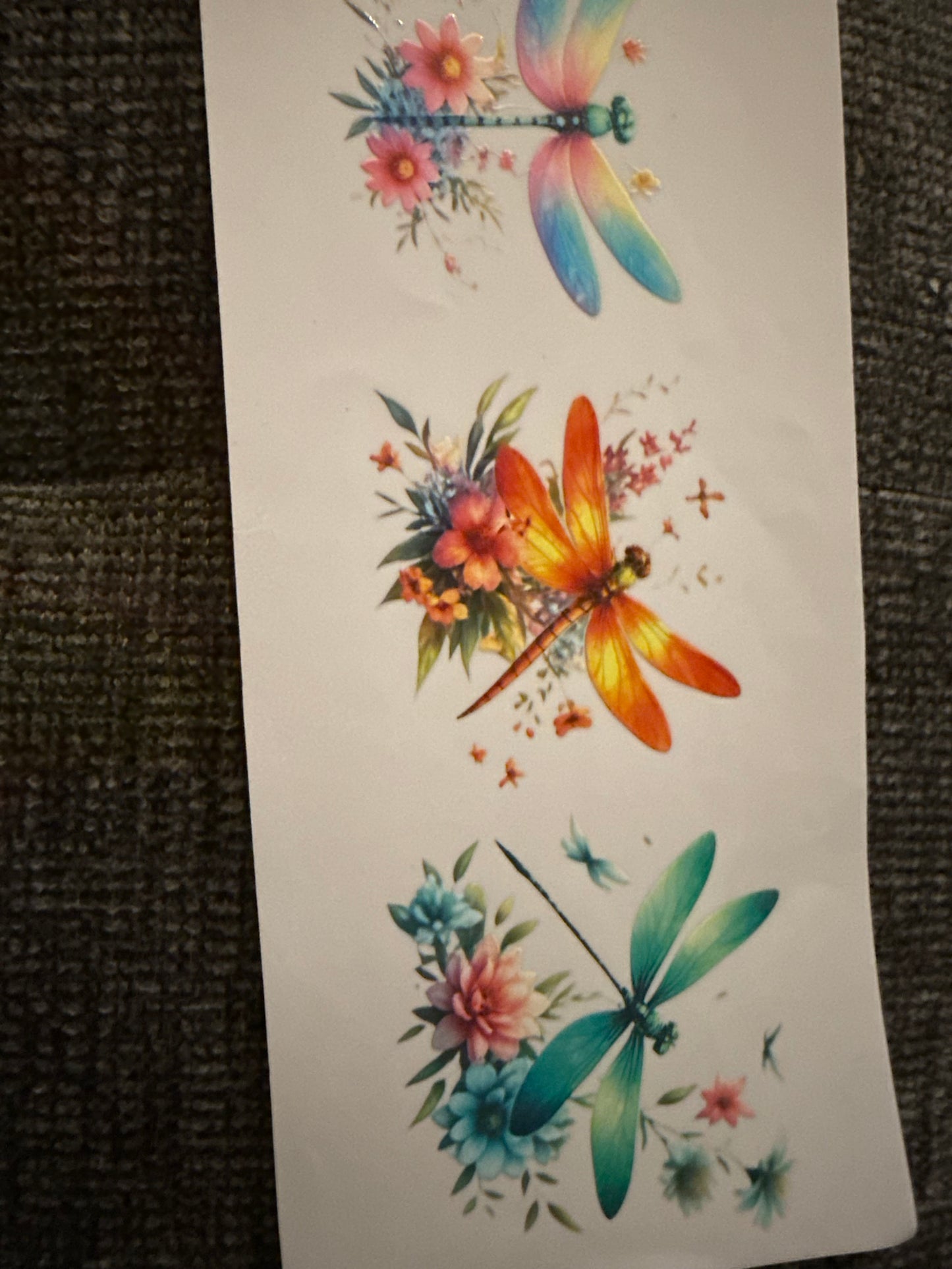 Dragonfly #1