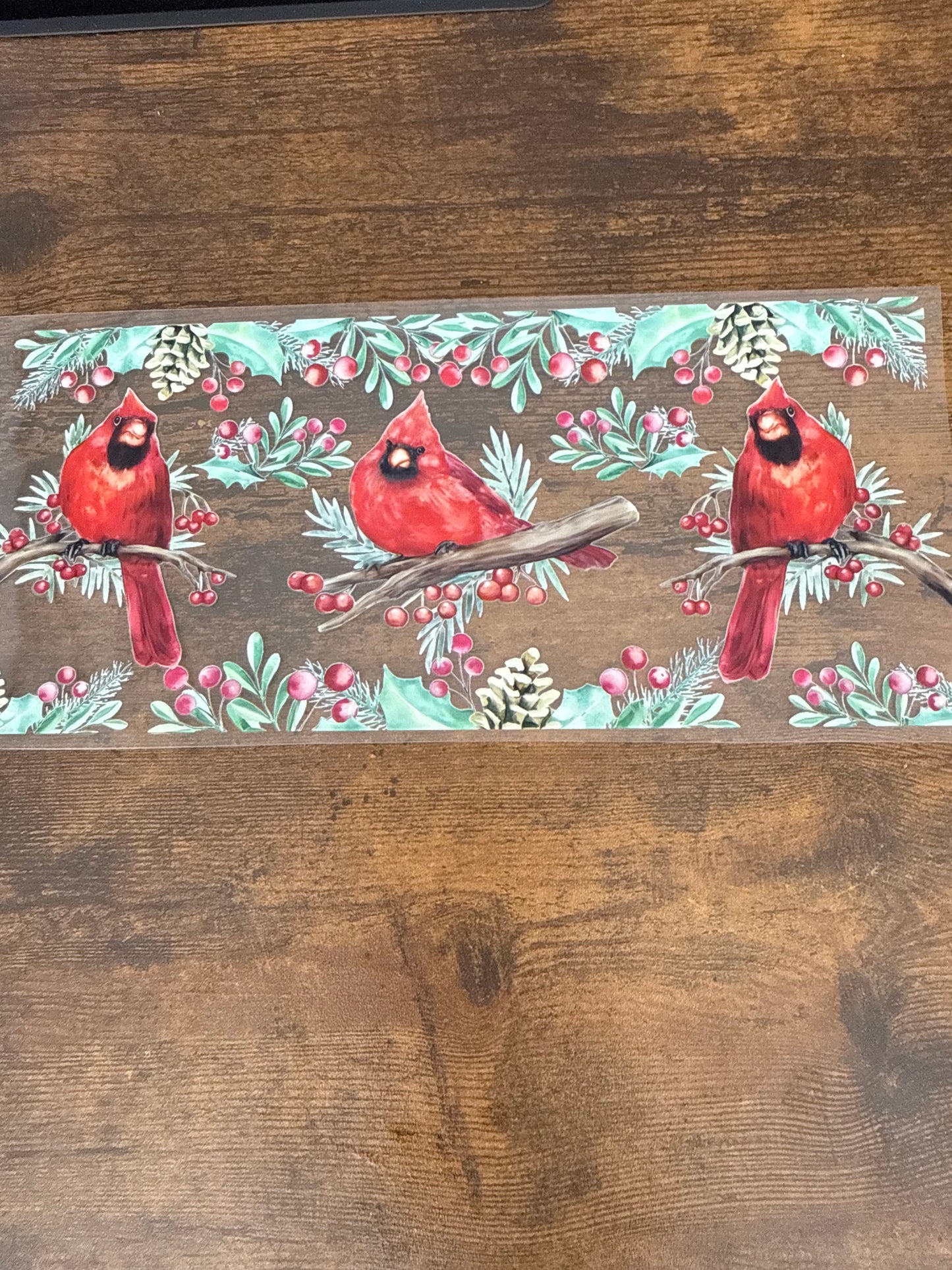 Cardinals