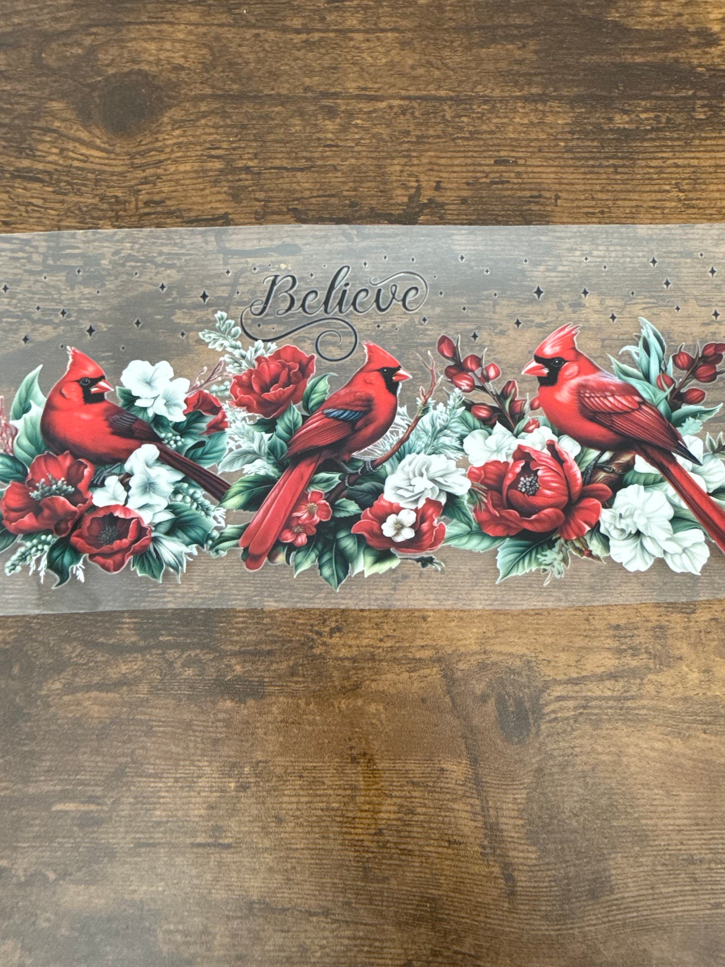 Believe w/ Red Birds