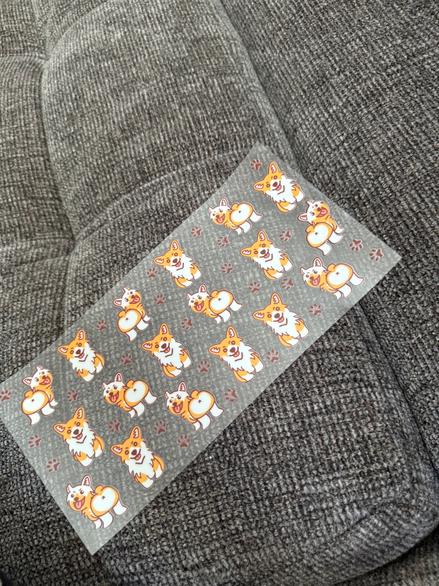 Corgis