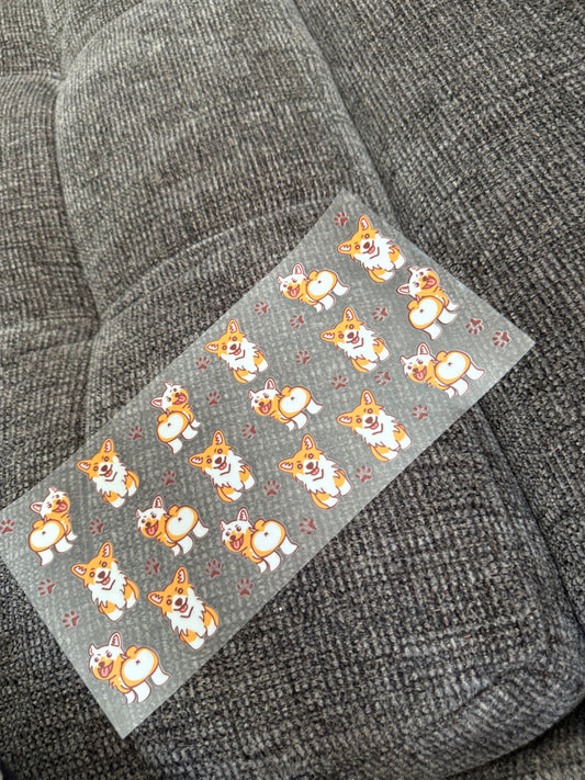 Corgis