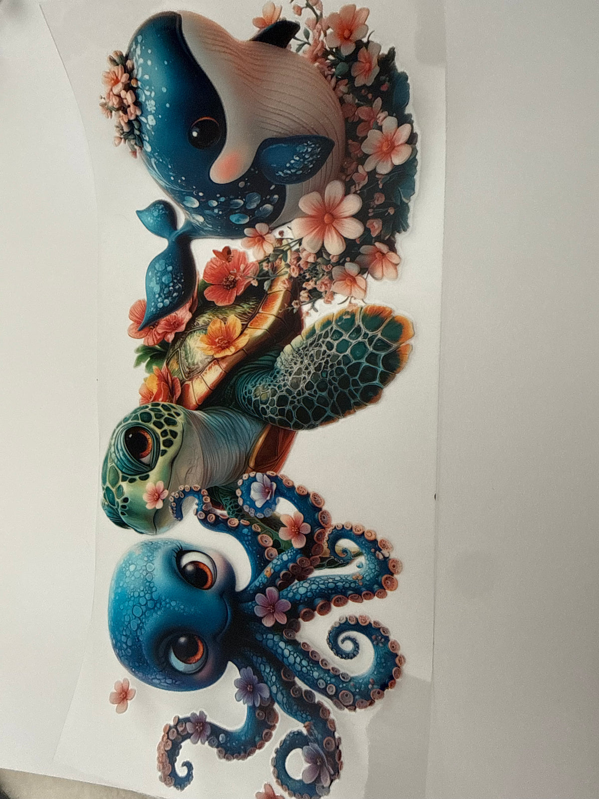 Ocean Animals