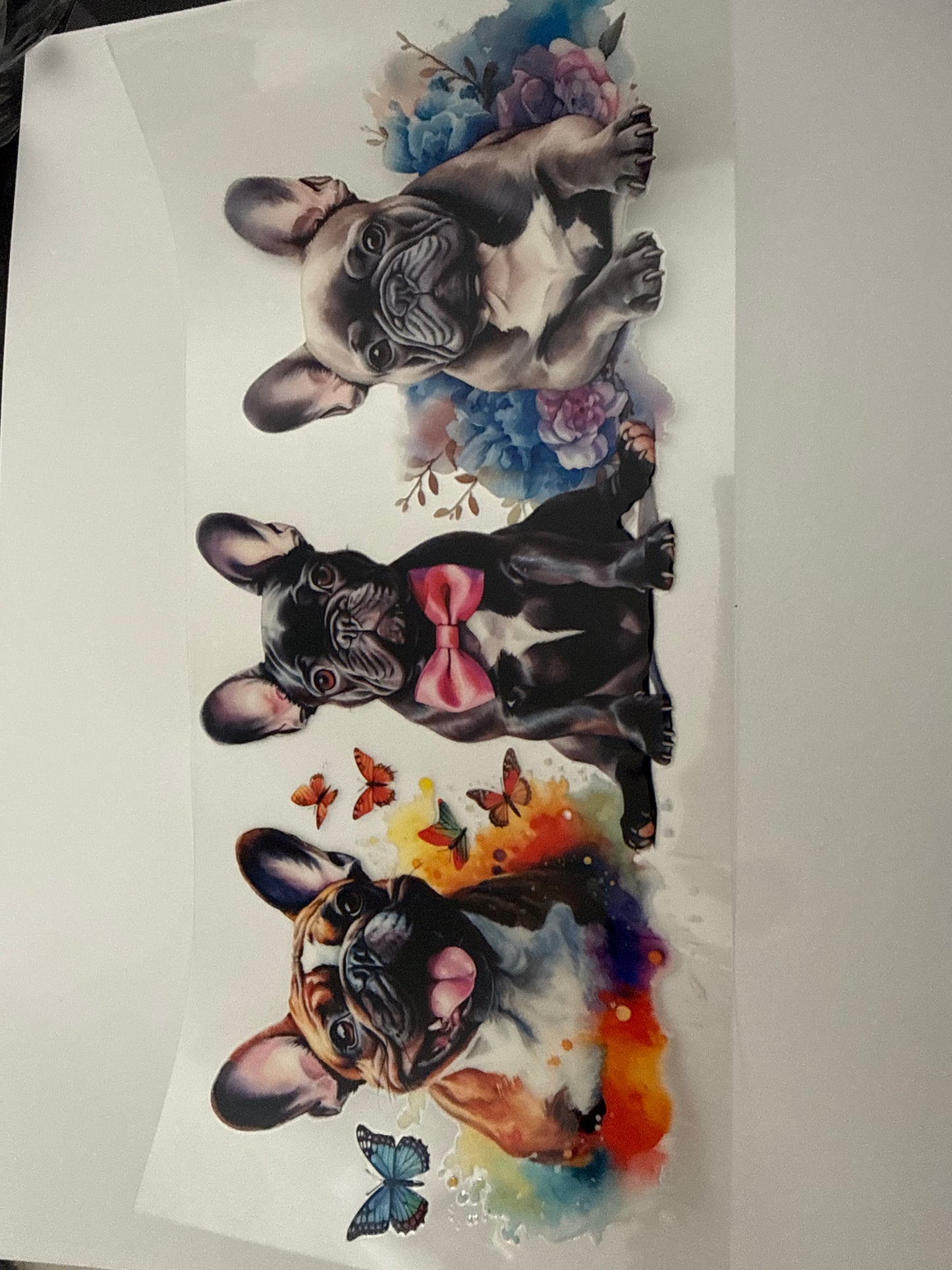 3 dogs